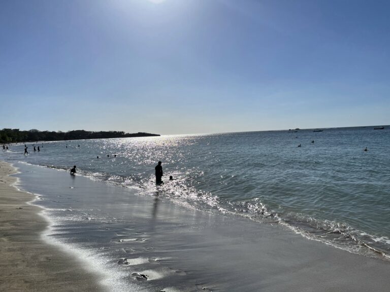 C49E9964-B83B-4AF5-A337-9ADBE0001C46